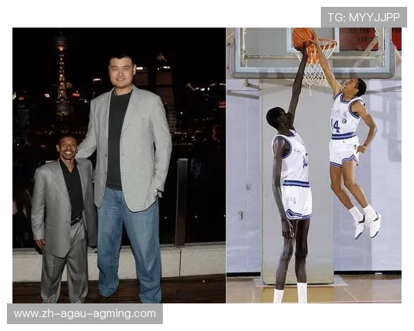 NBA身高排名中最高的球员是谁，他们的身高优势体现在哪些方面