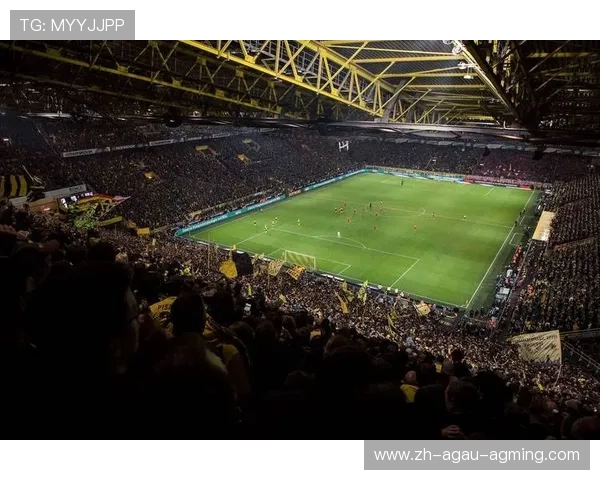 德甲球队特种球场名字盘点场地特色与命名背后的故事