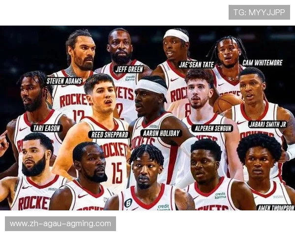 火箭队2016年排名及赛季表现回顾