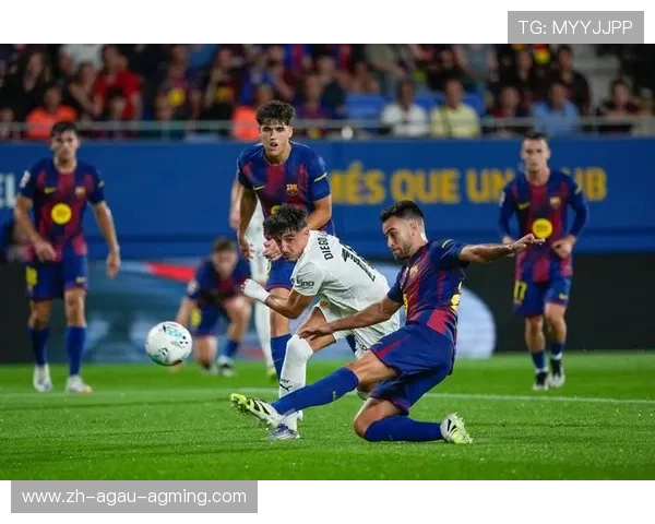 西甲联赛录播观看方式与平台推荐